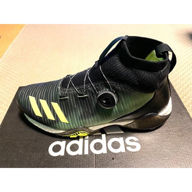 adidas(アディダス)のアディダス-  コードカオス ボア スパイクレス メンズ ゴルフシューズ  スポーツ/アウトドアのゴルフ(シューズ)の商品写真