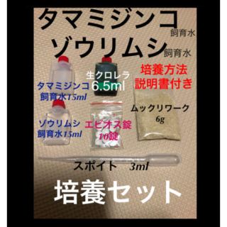 タマミジンコ　ゾウリムシ　培養セット(アクアリウム)