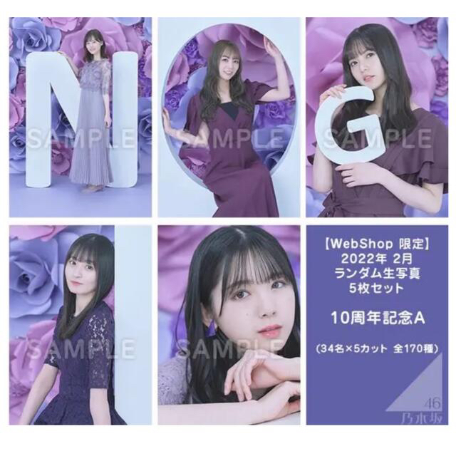 乃木坂46(ノギザカフォーティーシックス)のさくら様専用ページ エンタメ/ホビーのタレントグッズ(アイドルグッズ)の商品写真