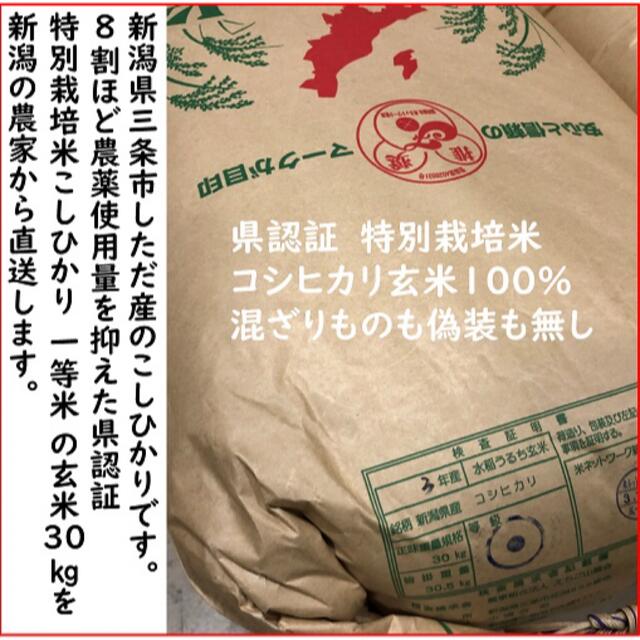 令和3年 新潟県三条市しただ産 減農薬特別栽培米 令和3年 新潟県三条市しただ産 減農薬特別栽培米