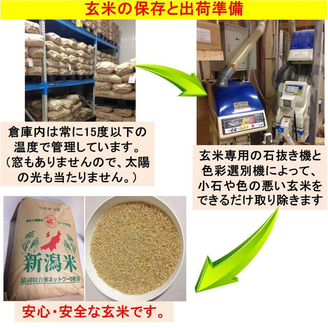 白雪美人　令和3年　新潟県三条市しただ産　減農薬特別栽培米コシヒカリ玄米30kg　米/穀物