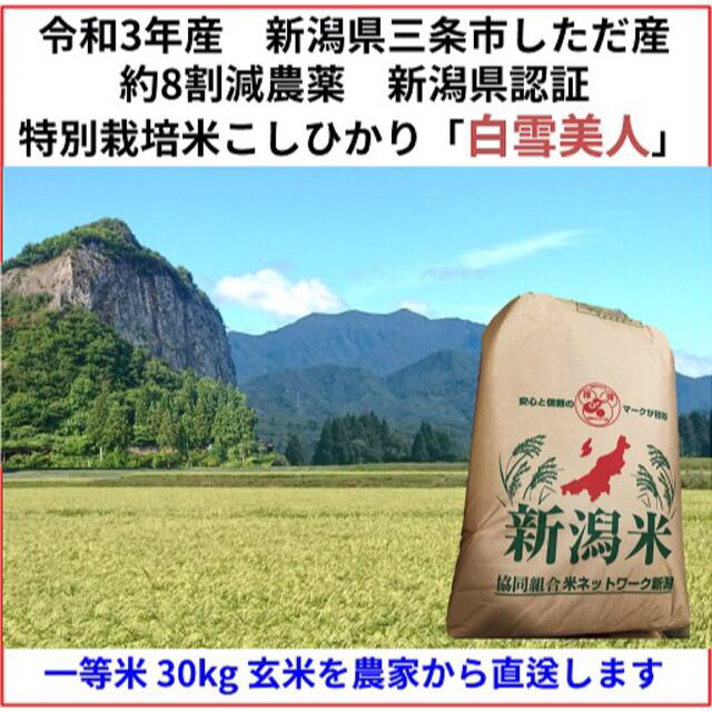 白雪美人　令和3年　新潟県三条市しただ産　減農薬特別栽培米コシヒカリ玄米30kg　米/穀物