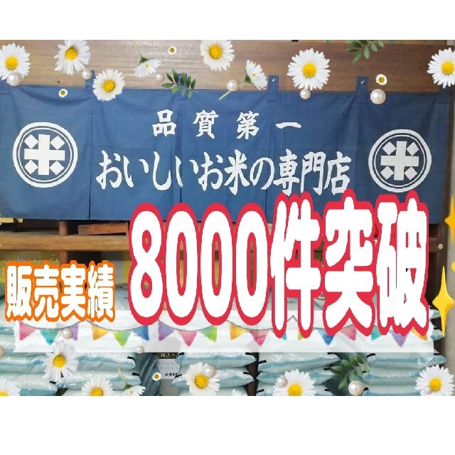 ぬーぴー様専用 お米【ひとめぼれ 30kg】R3年産/5kg×6/精米済 白米