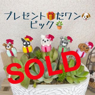 ハンドメイド　ガーデンピック　プレゼントだワンピック　多肉植物(その他)