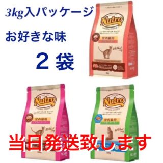 マース(MARS)のニュートロ　ナチュラルチョイス　キャット　アダルト　プロ/フード　猫用(ペットフード)