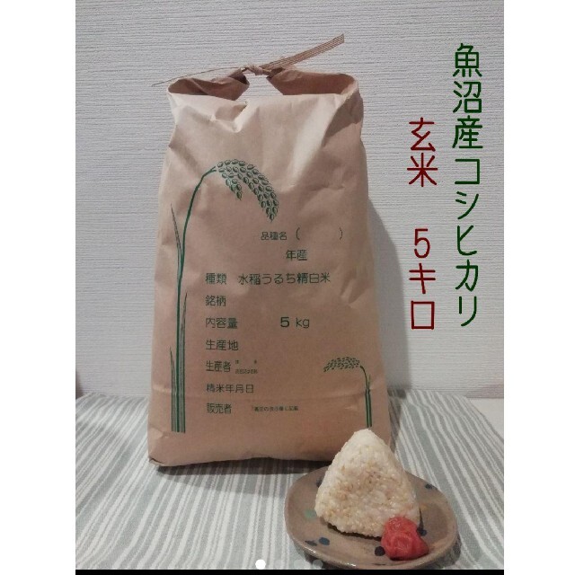 お米10kg×2　合計20kg　令和3年魚沼産コシヒカリ玄米-