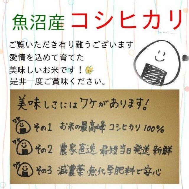 お米10kg×2 合計20kg 令和3年魚沼産コシヒカリ 玄米農業女子