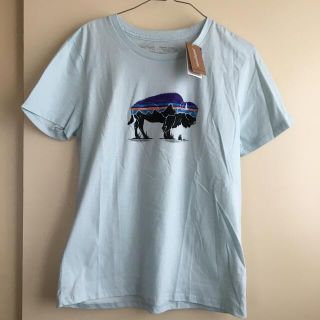 パタゴニア(patagonia)の新品★Patagoniaパタゴニア★オーガニックコットンT シャツ　XS(Tシャツ(半袖/袖なし))