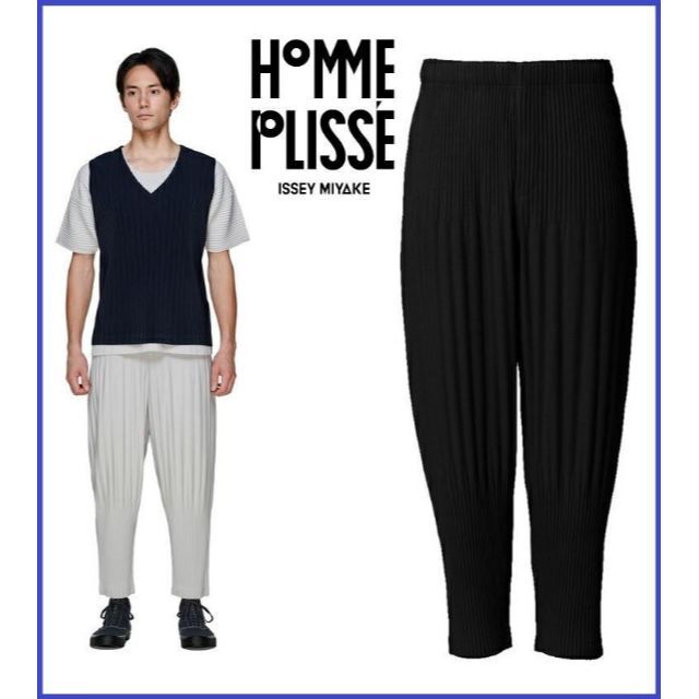 イッセイミヤケISSEY MIYAKE トライアングルプリーツパンツ 黒2