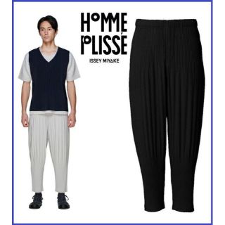 イッセイミヤケ(ISSEY MIYAKE)のHOMME PLISSE ISSEYMIYAKE プリーツパンツ イッセイミヤケ(サルエルパンツ)