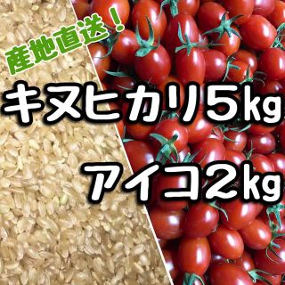 和歌山県産　新米キヌヒカリ&ミニトマトアイコ(米/穀物)