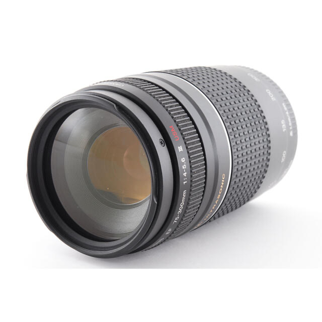 実用☆キヤノン Canon EF 75-300mm F4-5.6 III USM 商品の状態 特価