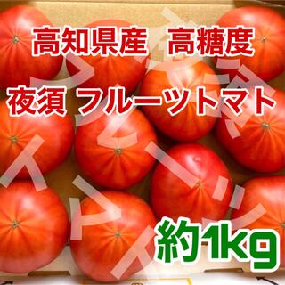 夜須フルーツトマト 高知県産 高糖度(野菜)