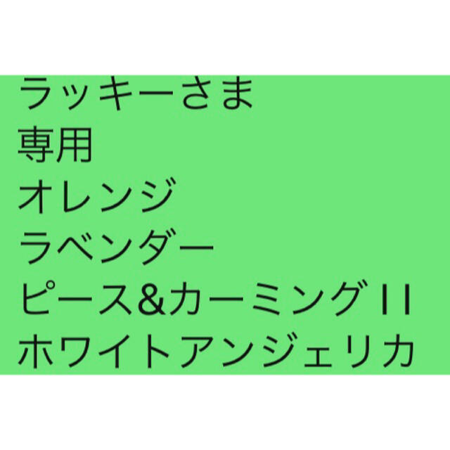 ラッキーさま 専用   お品一式