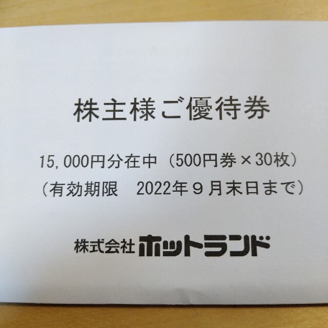 ホットランド 株主優待15000円分 ９月末まで 追加可 銀だこ ...