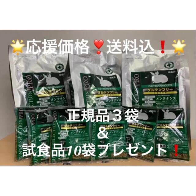 応援価格!》バニーセレクションプロ メンテナンスチモシーヘイ1kg正規