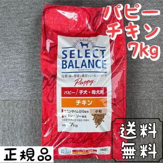 セレクト(SELECT)のセレクトバランス チキン 小粒 7kg パピー ドッグフード  ペットフード (ペットフード)