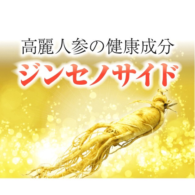 神秘の健康力 ゴールド レギュラー サプリ お試し セット 食品/飲料/酒の健康食品(その他)の商品写真