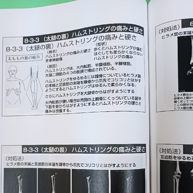 天城流医学大全集 脚・足首の痛み編 杉本錬堂 筋膜 整体 天城流医学大全集 脚・足首の痛み編 杉本錬堂 筋膜 整体