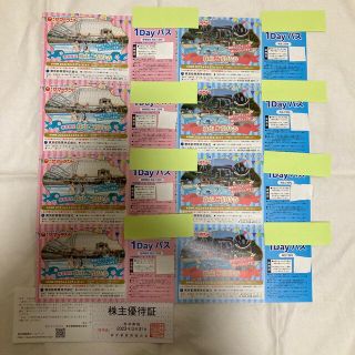 東京サマーランド 1dayパス 8枚セット 大井競馬場株主優待証1枚 匿名