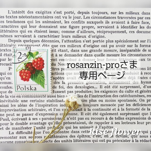 rosanzin-proさま専用ページ ハンドメイドのフラワー/ガーデン(ドライフラワー)の商品写真