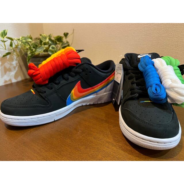 Polaroid × Nike SB Dunk Low Pro "Black"