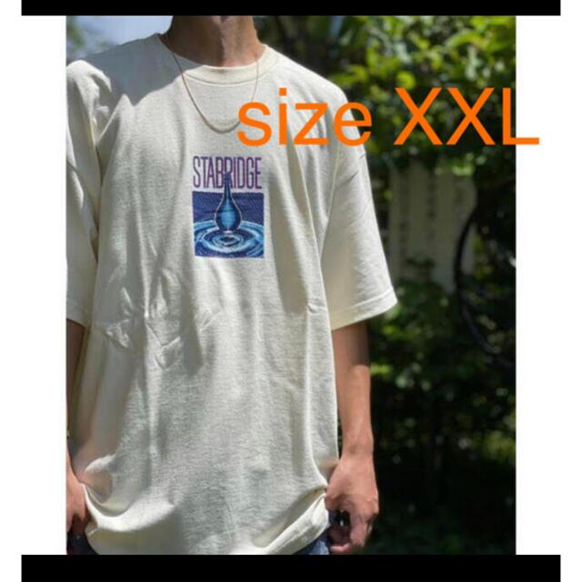 the apartment STABRIDGE Hydration T XXL メンズのトップス(Tシャツ/カットソー(半袖/袖なし))の商品写真