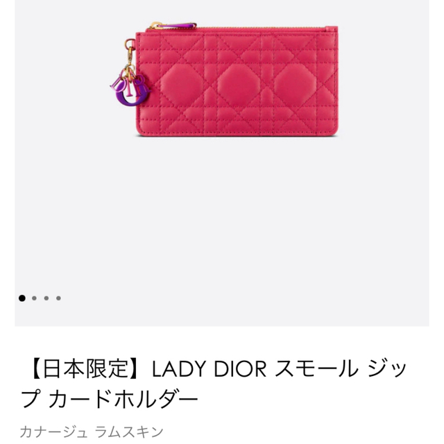 超安い Dior カードホルダー ジップ スモール DIOR 新作☆日本限定