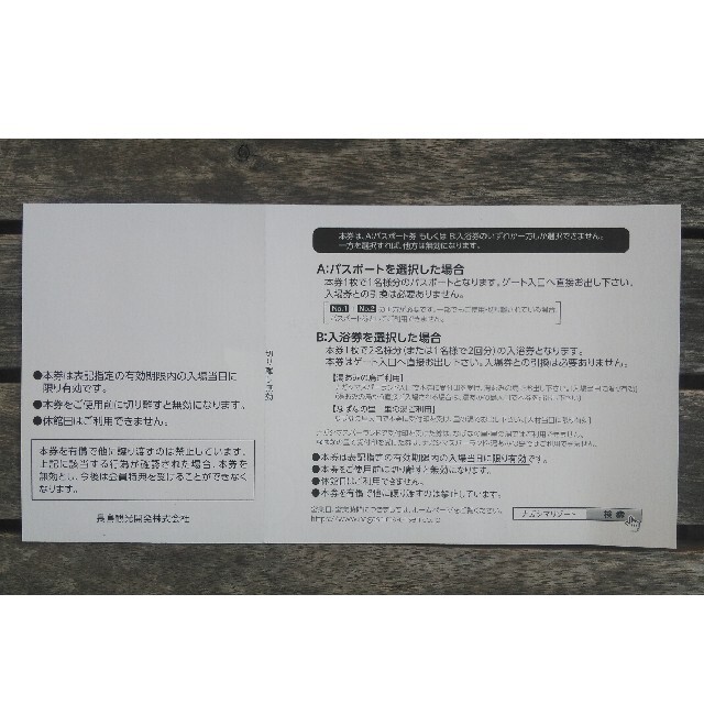 ナガスパ パスポート券２枚＋500円券