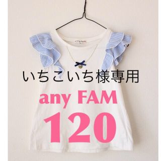 エニィファム(anyFAM)のいちこいち様専用ページ(Tシャツ/カットソー)