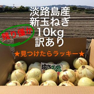 ★見つけたらラッキー★ 数量限定　淡路島産　新玉ねぎ　訳あり　10kg(野菜)