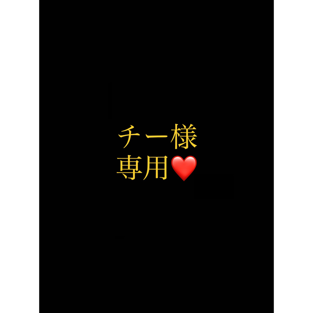 チー様専用ページ hotelvillaespanola.com