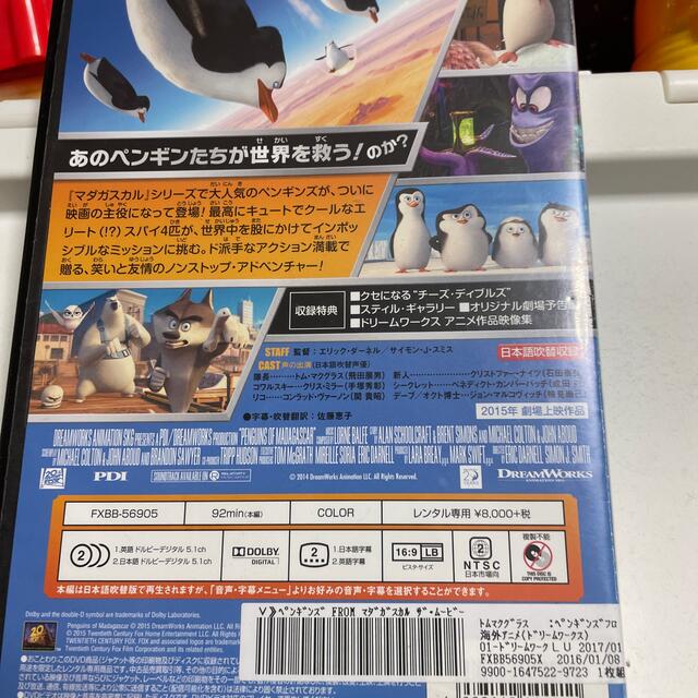 ペンギンズDVD エンタメ/ホビーのDVD/ブルーレイ(キッズ/ファミリー)の商品写真