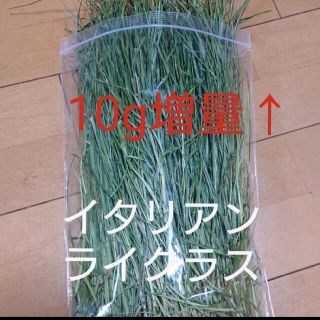 乾燥牧草 イタリアンライグラス 110g(小動物)