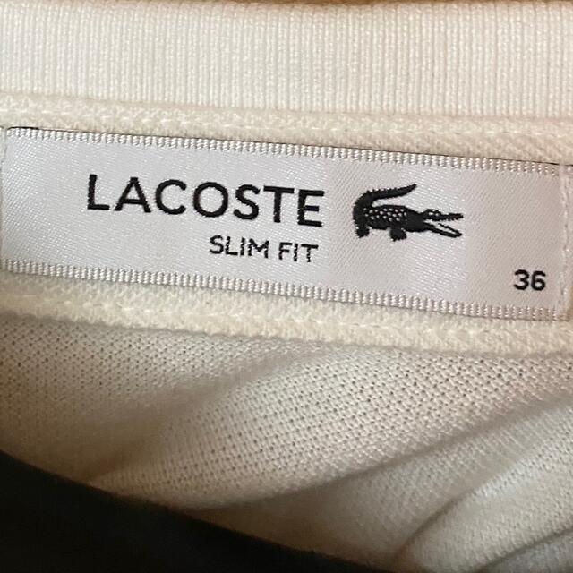 LACOSTE(ラコステ)の襟ロゴ ポロシャツ レディースのトップス(ポロシャツ)の商品写真