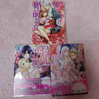 獅子王は初心な子ウサギを淫らに愛でる 他 ヴァニラ文庫 全３冊セット(その他)