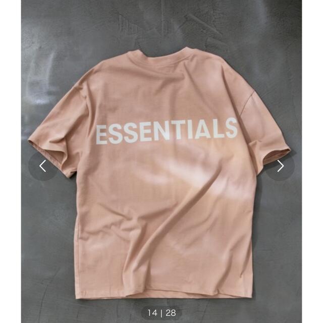 FOG ESSENTIALS REF LOGO Lsizeessntials