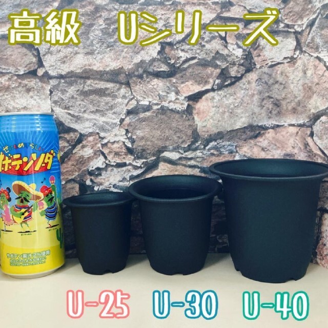 ハシ様 U鉢 ハンドメイドのフラワー/ガーデン(プランター)の商品写真