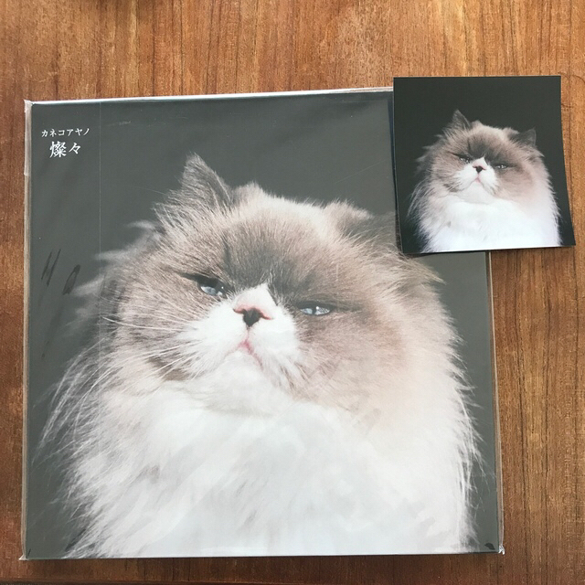 メール便可 2セットまで カネコアヤノ 燦々 LP アナログ レコード