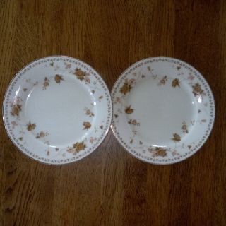 ノリタケ(Noritake)のノリタケ　ケーキ皿　2枚(グラス/カップ)