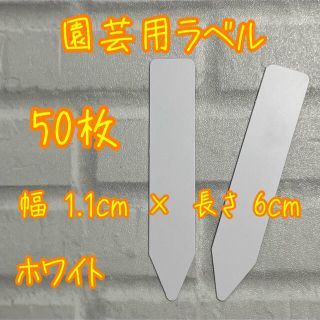 多肉植物に☺︎ 園芸用ラベル　ネームラベル　ホワイト(その他)