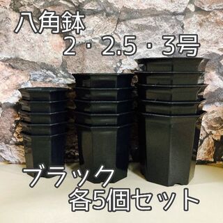 八角鉢 ◎15個◎黒セット 2・2.5・3号  各5(プランター)