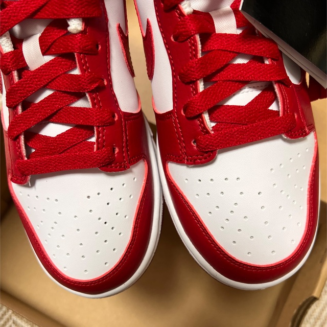 NIKE(ナイキ)のNike WMNS Dunk Low Next Nature "Gym Red" レディースの靴/シューズ(スニーカー)の商品写真