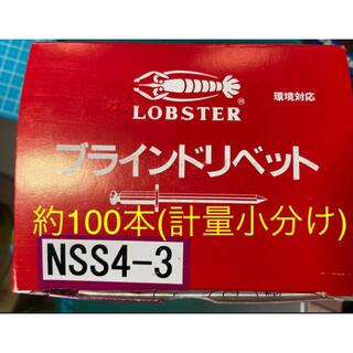 《新品未使用》LobsterブラインドリベットNSS4-3 約100本(計量小分(その他)