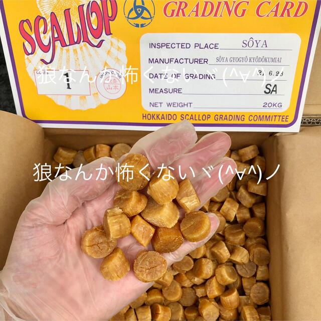 北海道産乾燥帆立貝柱 ホタテ貝柱 SA 1等級 1kg（100g×10）貝柱