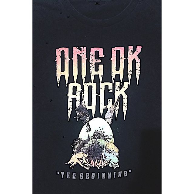 ONE OK ROCK(ワンオクロック)のONE OK ROCK 2012 THE BIGINNING TOUR Tシャツ メンズのトップス(Tシャツ/カットソー(半袖/袖なし))の商品写真