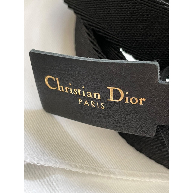 Dior SADDLE ベルト 4