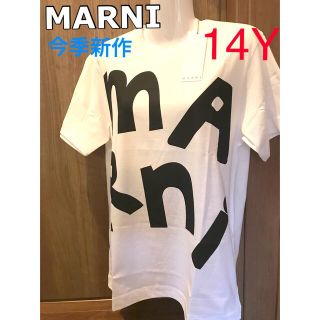 マルニ(Marni)のMARNI 両面ロゴ　Tシャツ　新品未使用　タグ付き　14Y(Tシャツ(半袖/袖なし))