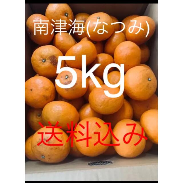 愛媛県 訳あり傷あり幻の春みかん 南津海(なつみ)約5kg 食品/飲料/酒の食品(フルーツ)の商品写真