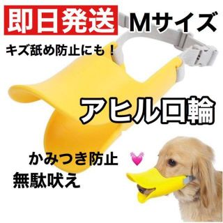 即日発送　アヒル口輪 犬 噛みぐせ 拾い食い 咬みつき防止 しつけ アヒル(犬)